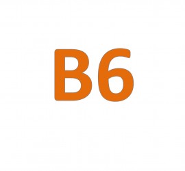 b6.jpg